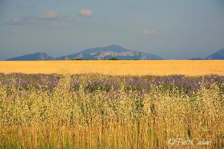 20140625_Provenza_ (27)