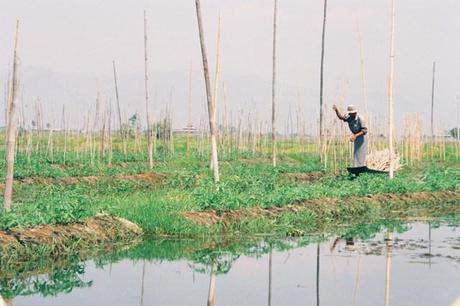 My vintage travel photographies: Burmese memories