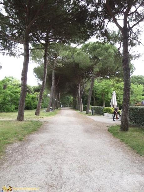 Parco Naturale di Cervia, Italia