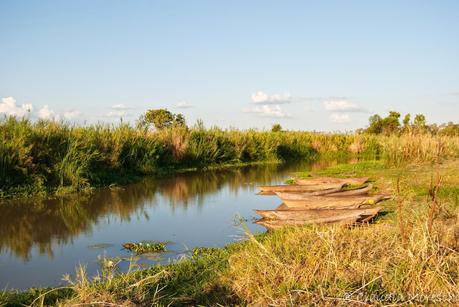 In safari nel Liwonde National Park, sulle tracce di Livingstone