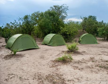 In safari nel Liwonde National Park, sulle tracce di Livingstone