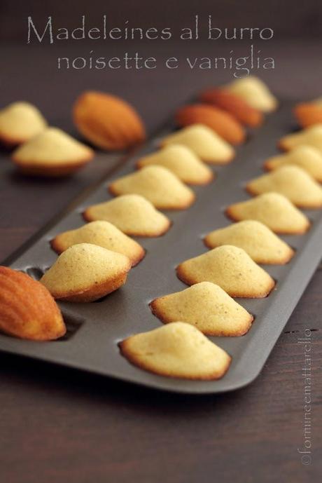 Madeleines al burro noisette e vaniglia