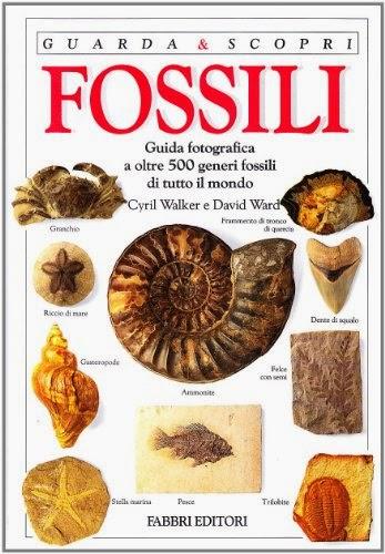 Fossili. Libro di Walker e Ward