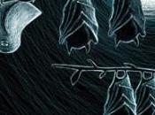 Festival delle Colline 2014