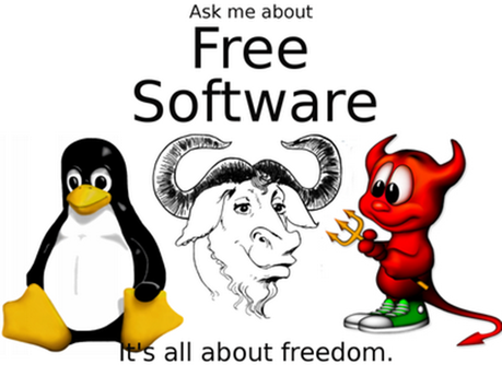 Riflessioni sul software libero: Pirateria, protezione della copia e libera copia.