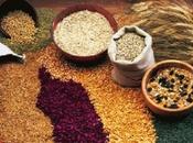 Colazione Macrobiotica: crema cereali