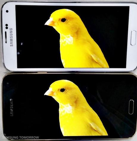 s5 vs s5 lte a display 2 600x619 Samsung mostra la qualità del display QHD smartphone  Smartphone samsung galaxy display 