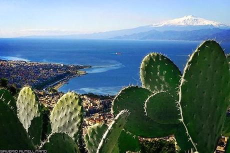 Reggio_calabria_panorama_fichidindia