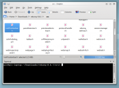 Guida alla scoperta di Dolphin, file manager focalizzato sulla usabilità, predefinito dell'attuale versione di KDE: visita guidata.