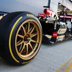 Lotus_E22_Pirelli_18_test_Silverstone_2014 (8)