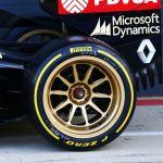 Lotus_E22_Pirelli_18_test_Silverstone_2014 (7)