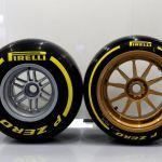 Lotus_E22_Pirelli_18_test_Silverstone_2014 (11)
