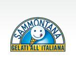 Sammontana presenta A casa di Enrica