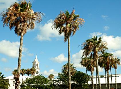 Fotogallery Bermuda