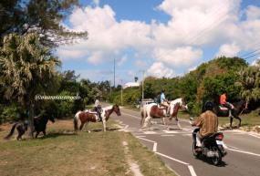 Fotogallery Bermuda