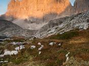 Vino montagna? fico!