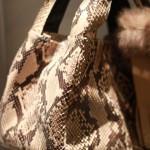 IMG_3526 IMG_3526