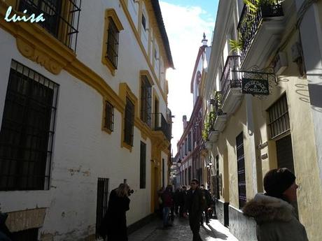 La mia escursione. L’allegra Siviglia, capitale dell’Andalusia.