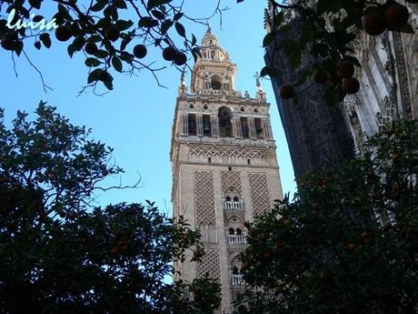 La mia escursione. L’allegra Siviglia, capitale dell’Andalusia.