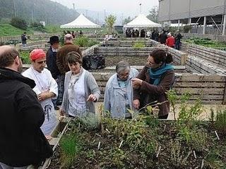 A Chiasso l'orto condiviso