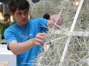 Garden design: progetto patrick nadeau boffi