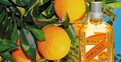 ruban d'orange l'occitane 3