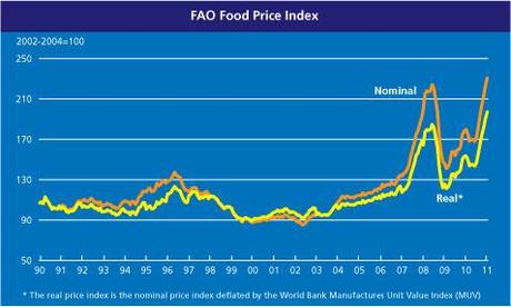 foodpriceindex.jpg