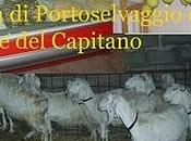 Masseria Bellimento Parco naturale della Regione Puglia Portoselvaggio Palude Capitano