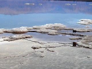 RISCHI DEL SALE RAFFINATO E BENEFICI DEL SALE MARINO INTEGRALE E DI ALTRE ALTERNATIVE AL SALE RAFFINATO RISCHI DEL SALE RAFFINATO E BENEFICI DEL SALE MARINO INTEGRALE E DI ALTRE ALTERNATIVE AL SALE RAFFINATO