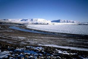 Novaya Zemlya (quello che le cartine non dicono)