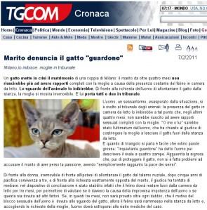 Marito denuncia il gatto “guardone”