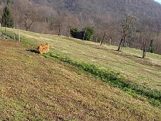 L'umore del tempo e i lavori nel campo...