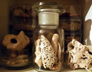 Sand, stone and shell collection