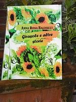 GIRASOLE E ALTRE STORIE