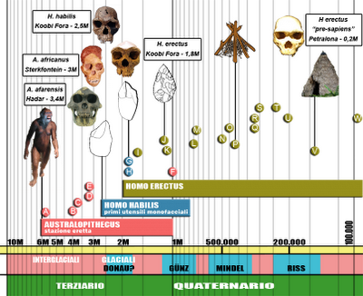 LA (RIN)CORSA DI LUCY