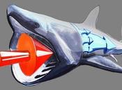 Nuova turbina prende spunto squalo elefante