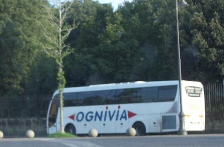 ognivia