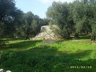 L'agricoltura nel Parco di Ugento del Salento leccese