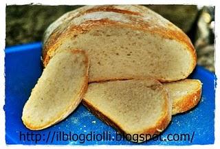 pane con pasta madre
