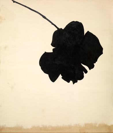 Jannis Kounellis, Senza titolo (Rosa nera) 