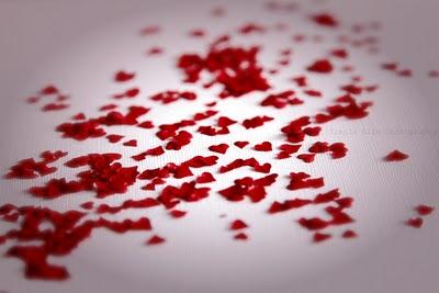 Favoloso 14 febbraio