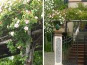 Rosiera, giardino segreto Liguria