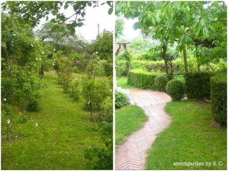 la Rosiera, giardino segreto in Liguria