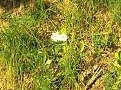 SONO TORNATA ovvero ABBANDONARSI