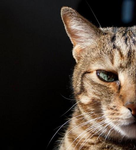 L'Amore arriva da molte direzioni