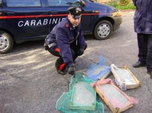 CARINI-TERRASINI. PESCA ILLEGALE: DENUNCIATE TRE PERSONE. MULTA DA 14 MILA EURO