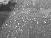 Swiffer Duster cartucce salve