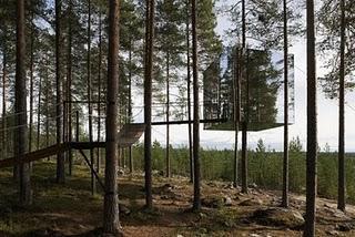 Tree Hotel