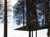 Tree Hotel