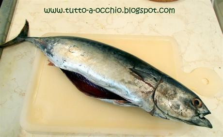 Ancora pesce! (e una novità web) - Tombarello in umido con pomodori e olive